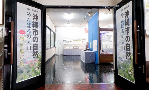沖縄市立郷土博物館企画展 沖縄市の自然 やんばるの入り口