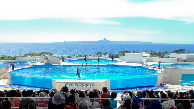 子供と行く！初めての美ら海水族館　人気のオキちゃん劇場（イルカショー）