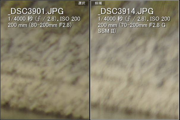 【実写レビュー】α99IIのオススメ望遠ズームは？”ミノルタ80-200mm F2.8G vs ソニー70-200mm F2.8 G SSM II”（その1：比較編）