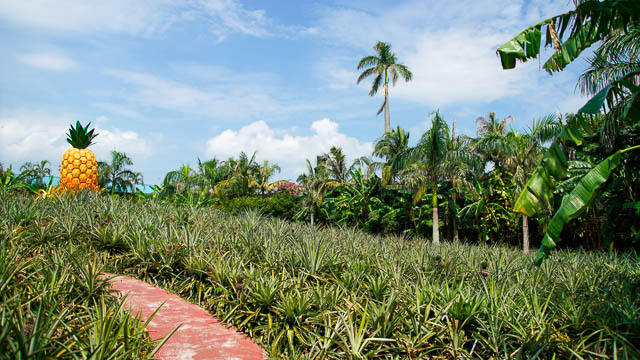 子供も大人も楽しい！おいしい！沖縄名護の観光でオススメの”ナゴパイナップルパーク”