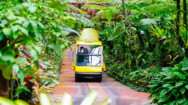 子供も大人も楽しい！おいしい！沖縄名護の観光でオススメの”ナゴパイナップルパーク”