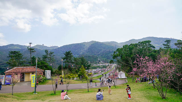 子供と行く!遊具のあるオススメ公園「八重岳桜の森公園」